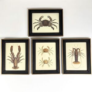 RARE 5 Maritime Coastal Sealife Prints Crab Shrimp Lobster